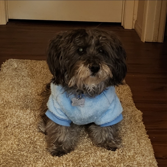 Meet your Posher! - Picture 4 of 4